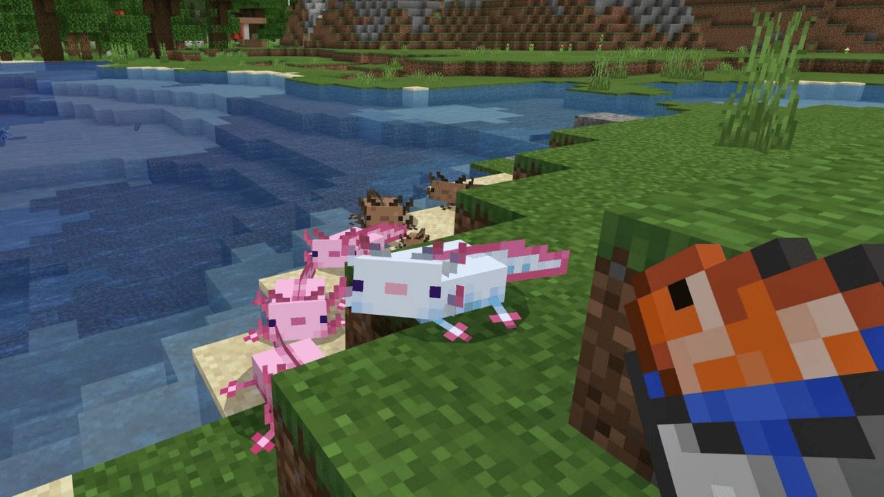 What is the enemy of axolotl in Minecraft?