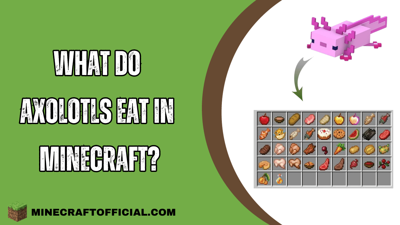 What Do Axolotls Eat in Minecraft?