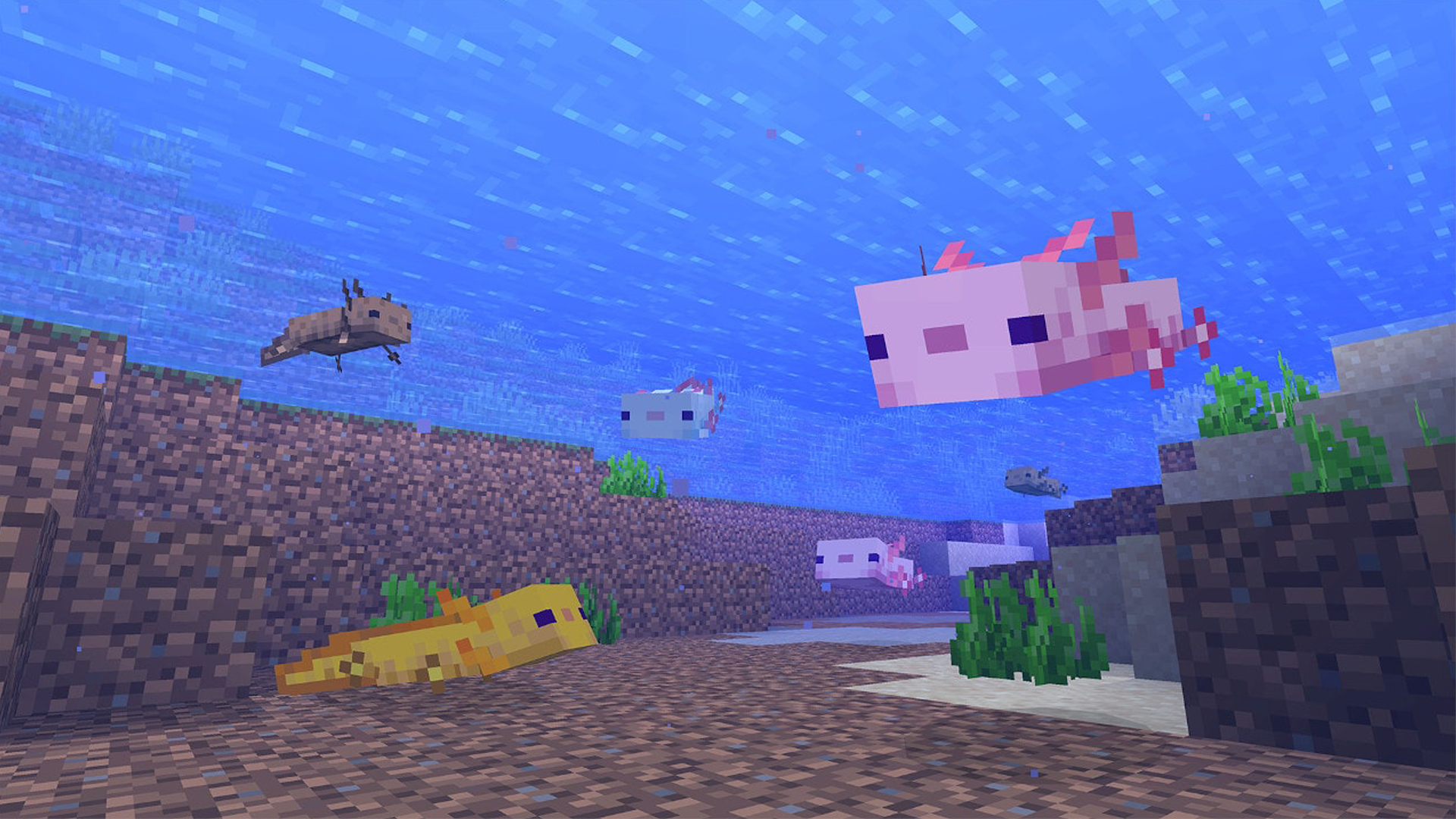 Mastering Axolotl Companionship: A Guide to Taming in Minecraft