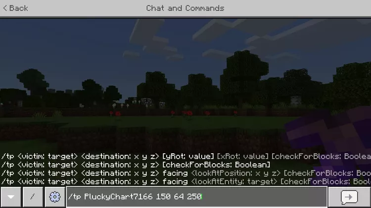 Teleporting in Minecraft through Commands Blocks (3)